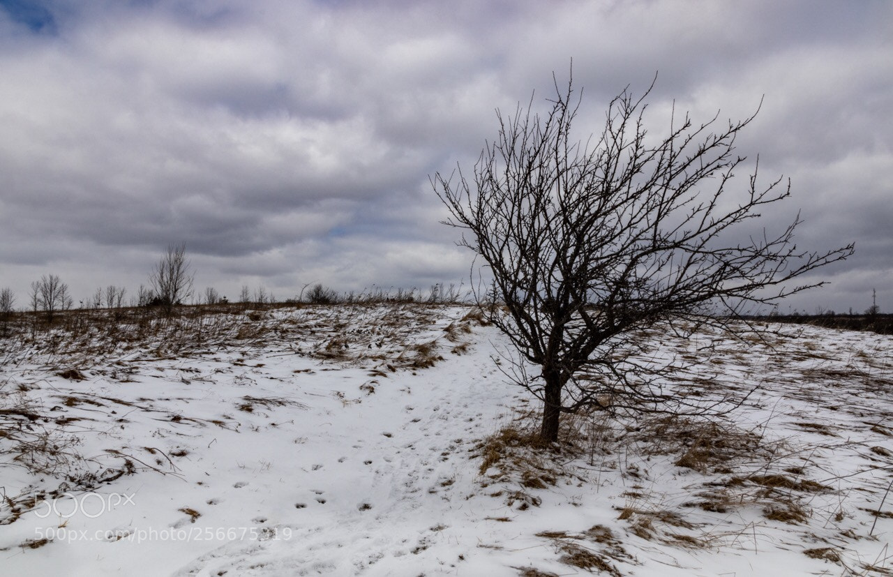 Canon EOS 77D (EOS 9000D / EOS 770D) sample photo. Not so complicated. photography