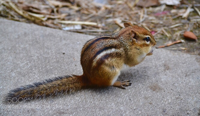 Nikon D3100 sample photo. Untitled photography