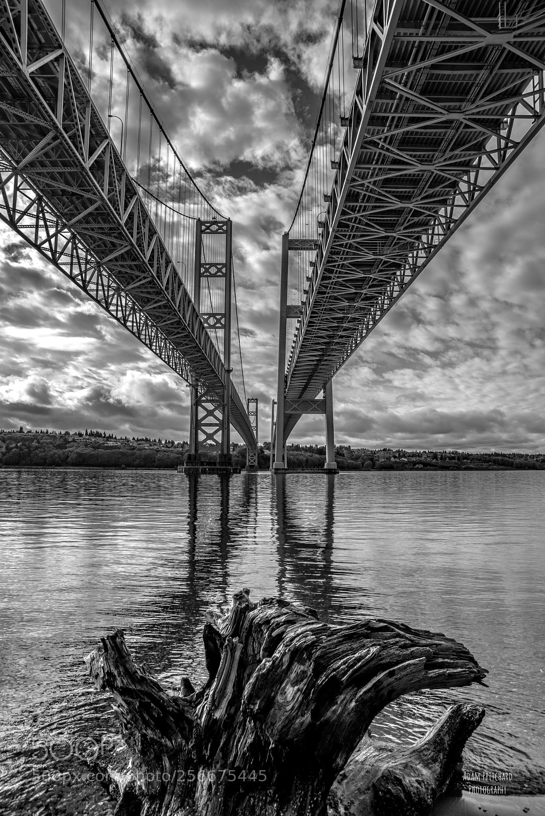 Nikon D800 sample photo. From the depths below photography
