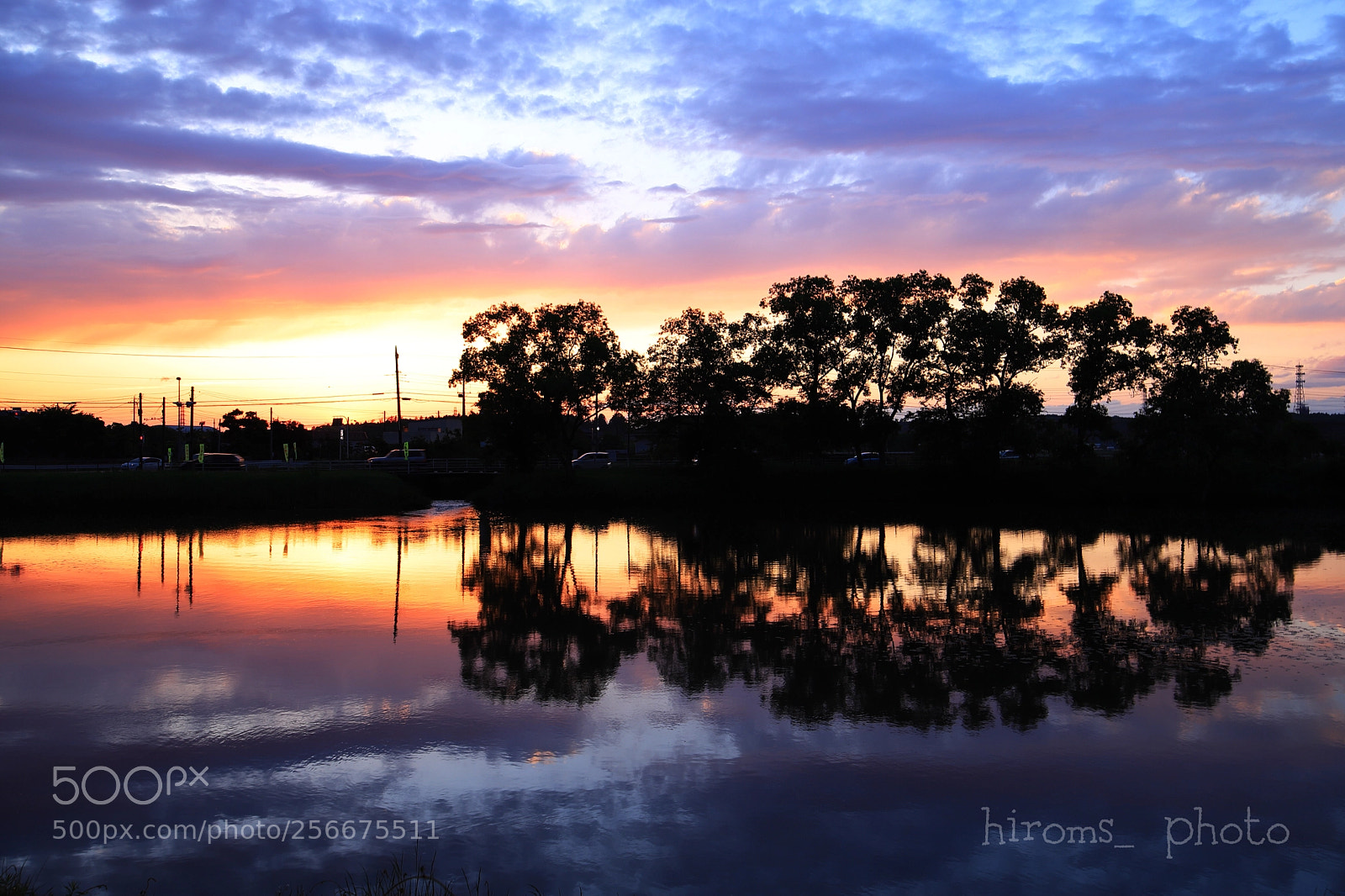 Canon EOS 6D Mark II sample photo. Untitled photography
