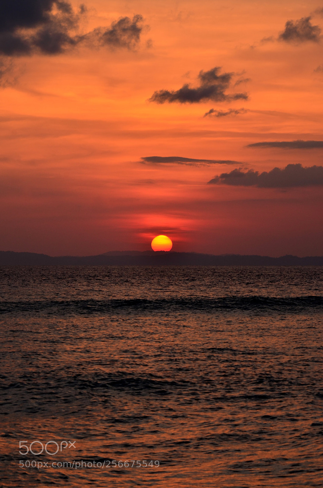 Nikon D7000 sample photo. Adios... photography