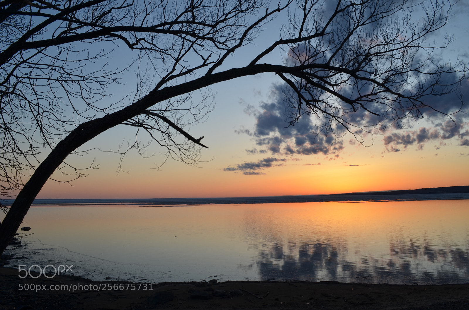 Nikon D5100 sample photo. Lake nipissing photography