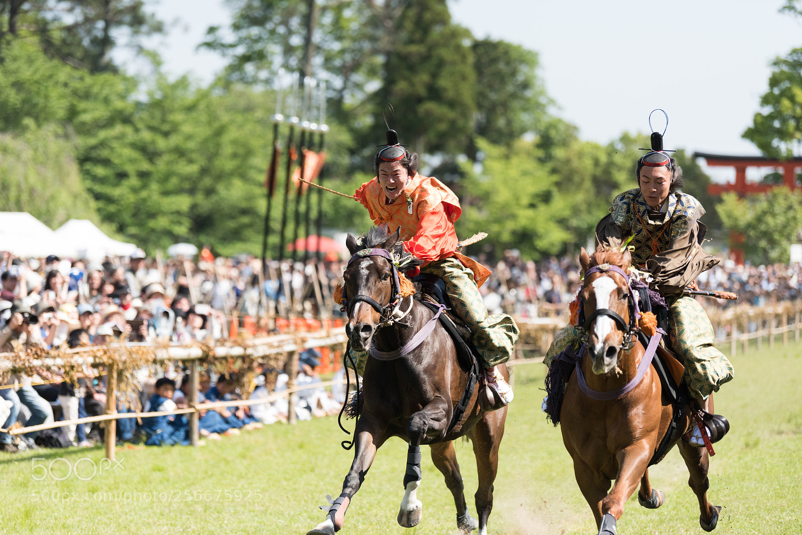 Nikon D810 sample photo. Kamo horse race photography
