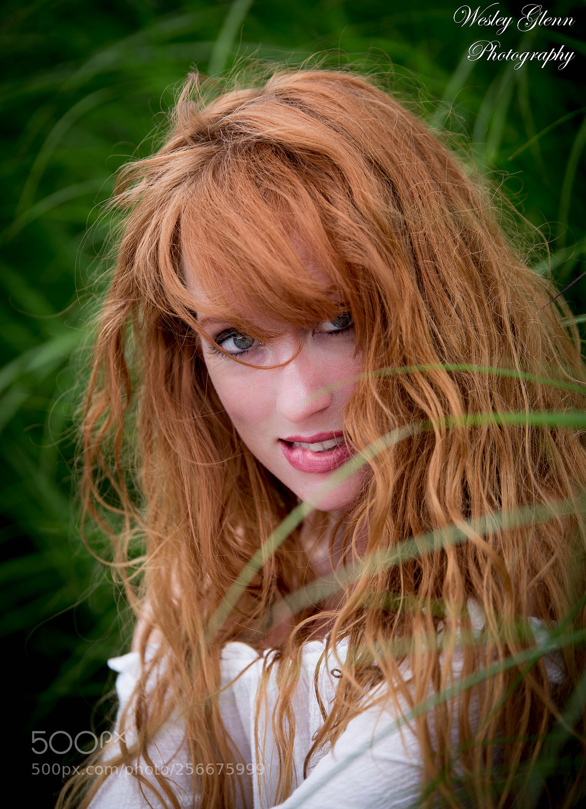 Canon EOS 6D sample photo. Taffy photography