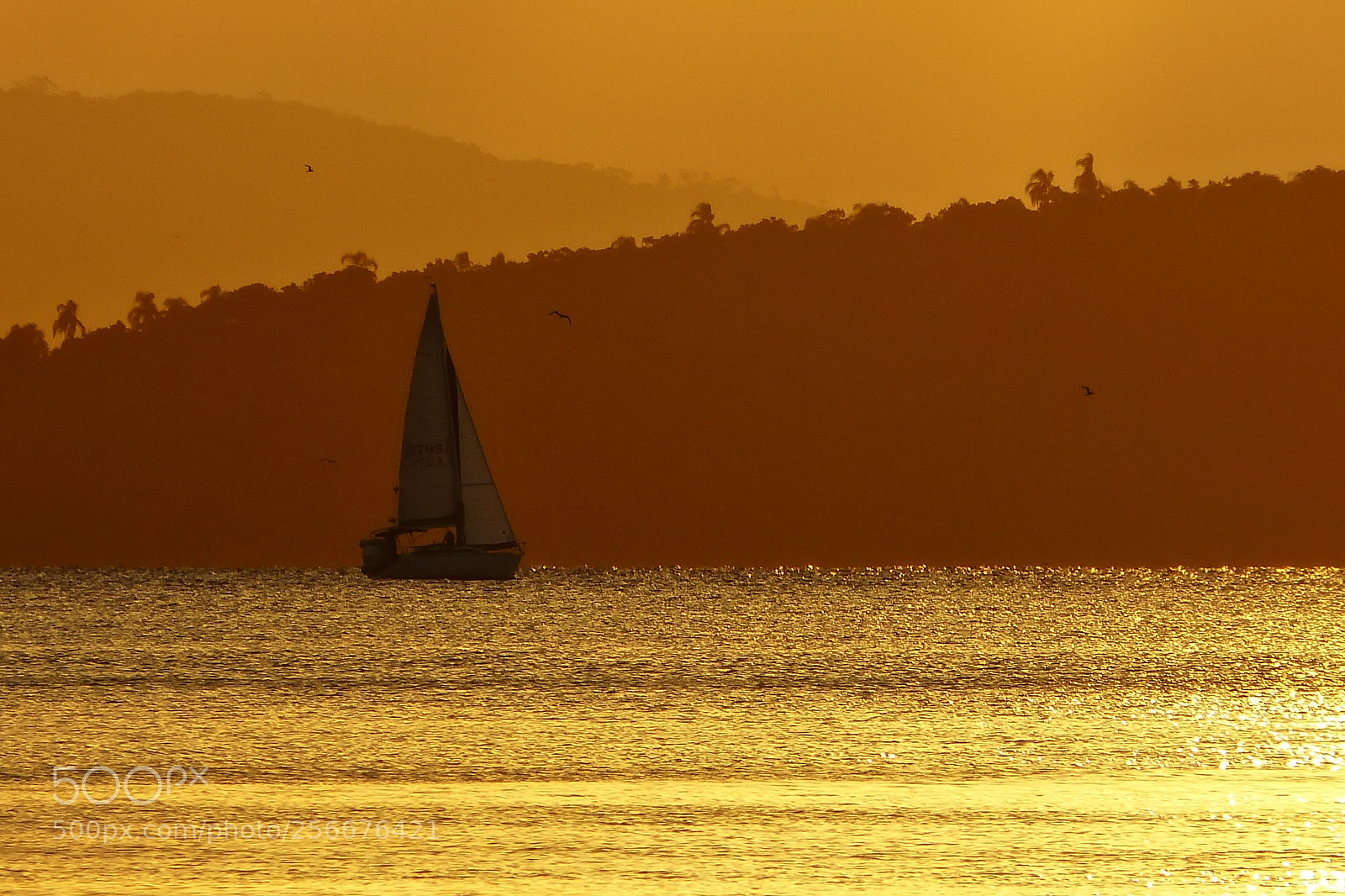 Panasonic Lumix DMC-FZ150 sample photo. Sailboat photography