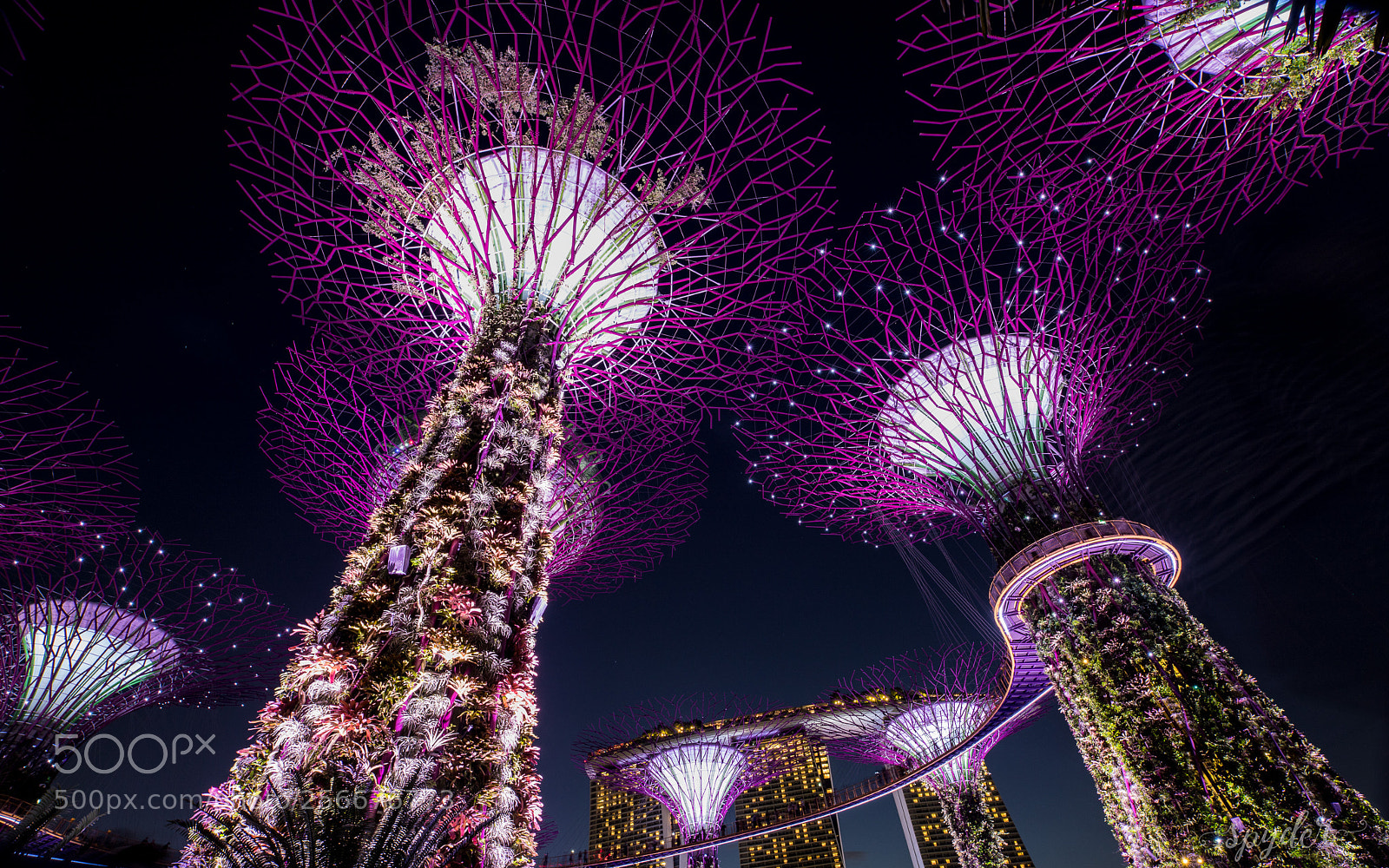 Canon EOS 6D Mark II sample photo. Gardens by the bay photography