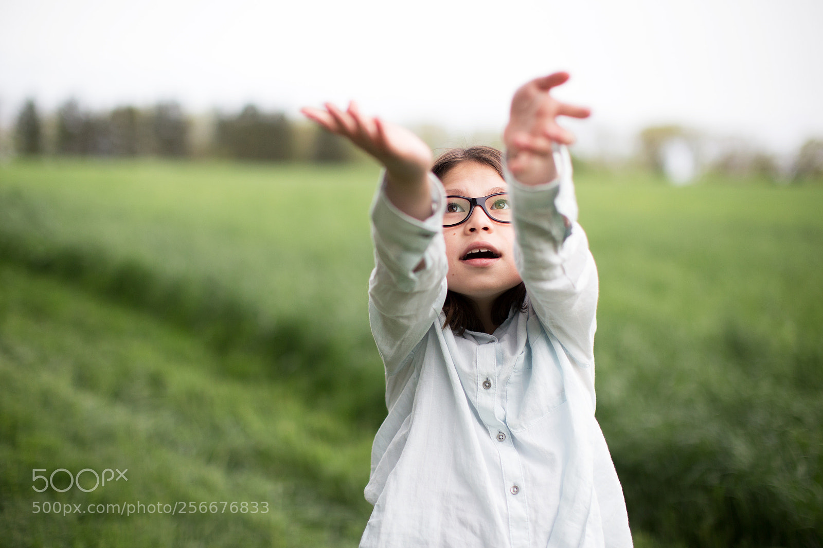 Canon EOS 6D sample photo. C photography