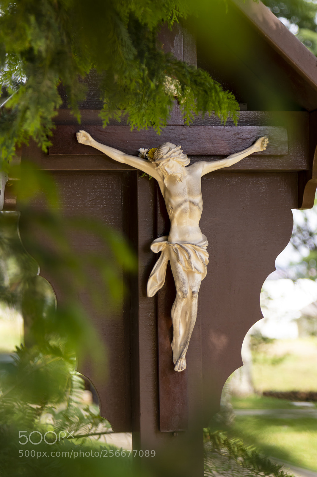 Canon EOS 80D sample photo. Your blessing photography