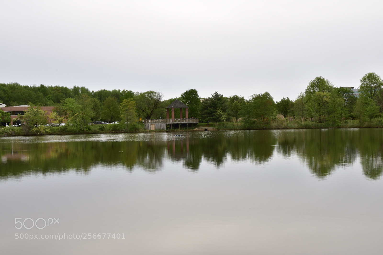 Nikon D3400 sample photo. Rainy day photography
