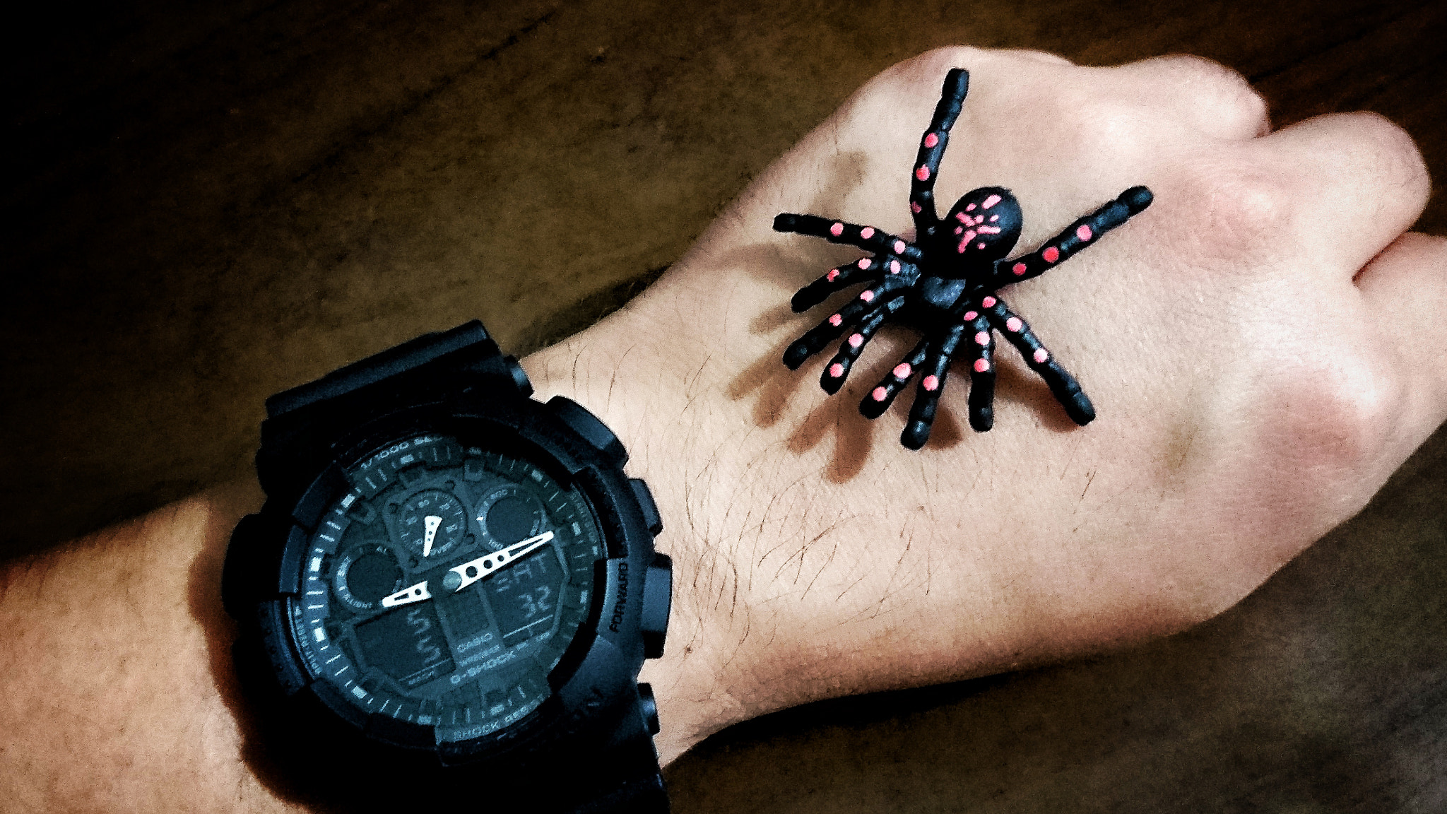 Sony Xperia Z5 sample photo. Be aware of spiders! 🕷 photography