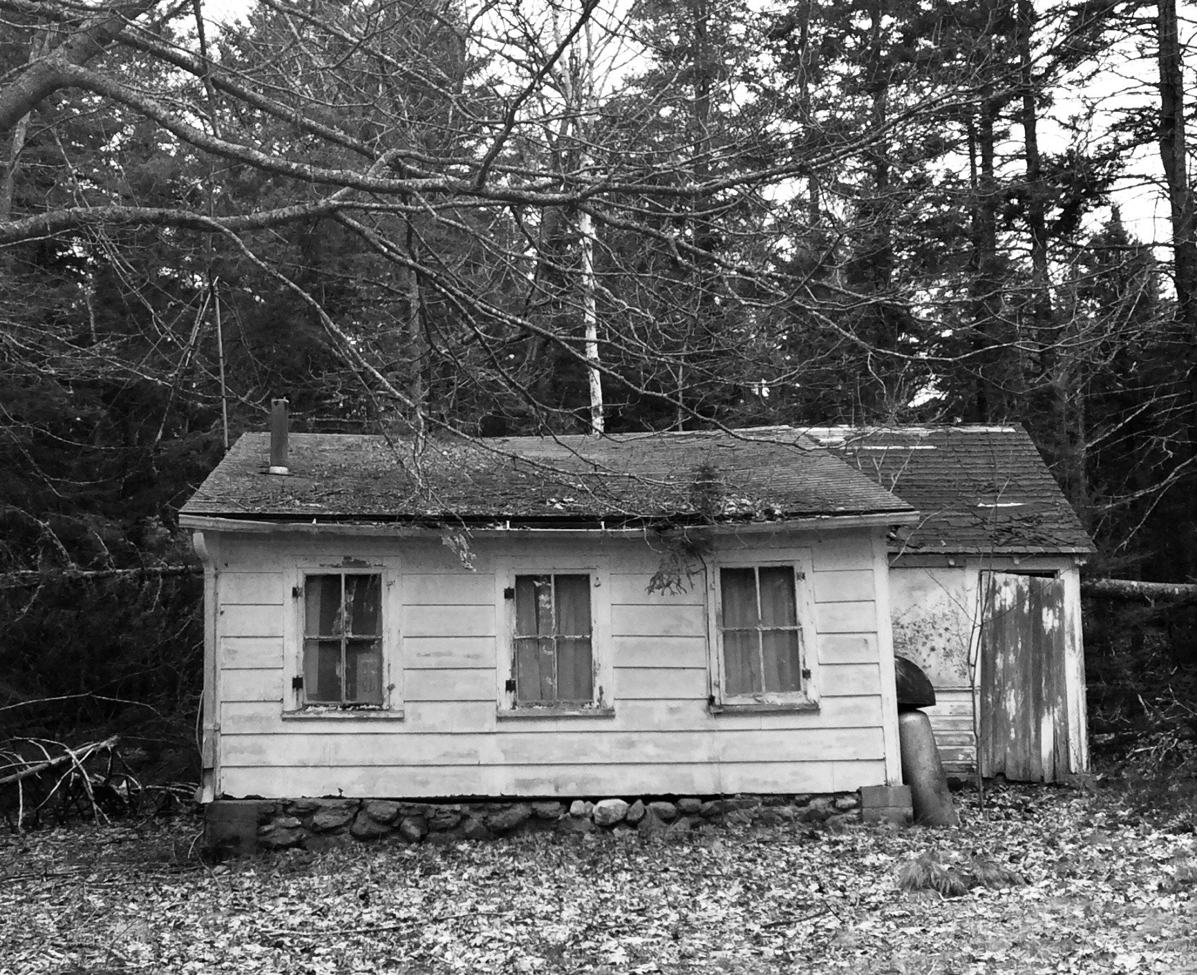 Apple iPad mini 2 sample photo. Black and white photography