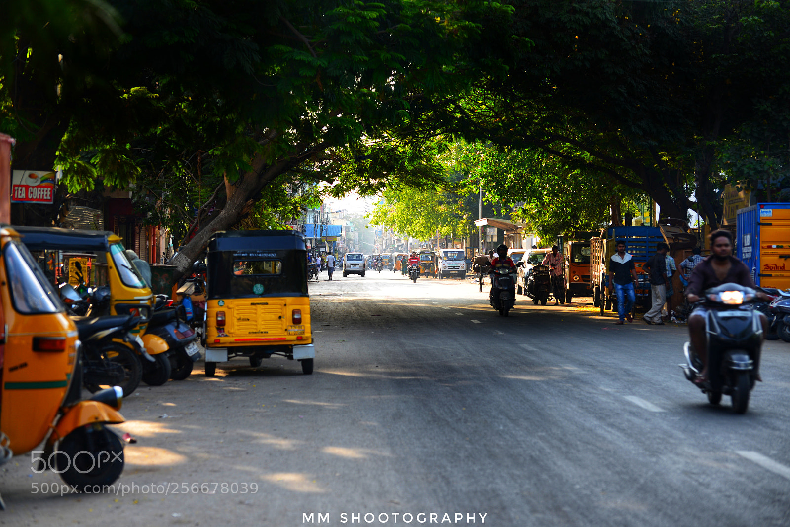 Nikon D610 sample photo. Triplicane the treasure of photography