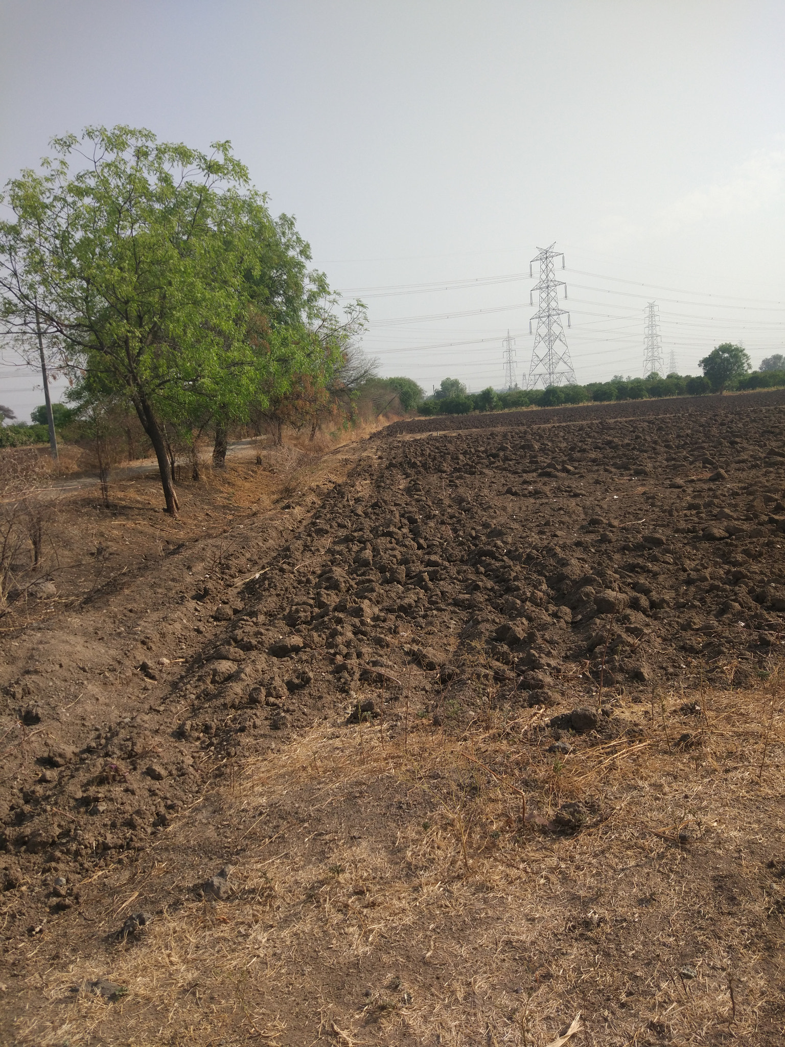 Xiaomi MI 5 sample photo. The field photography