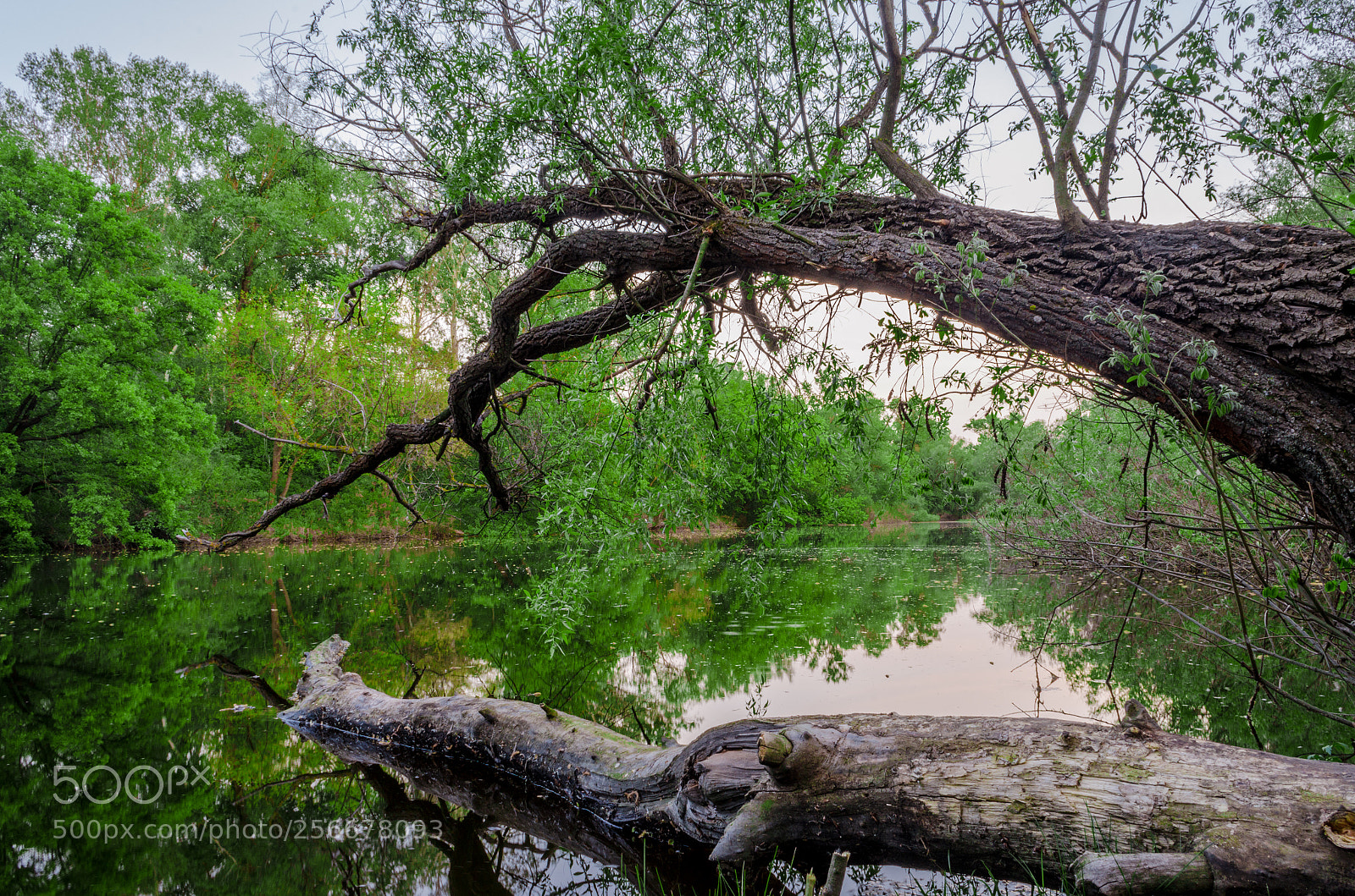 Nikon D5100 sample photo. Lake photography
