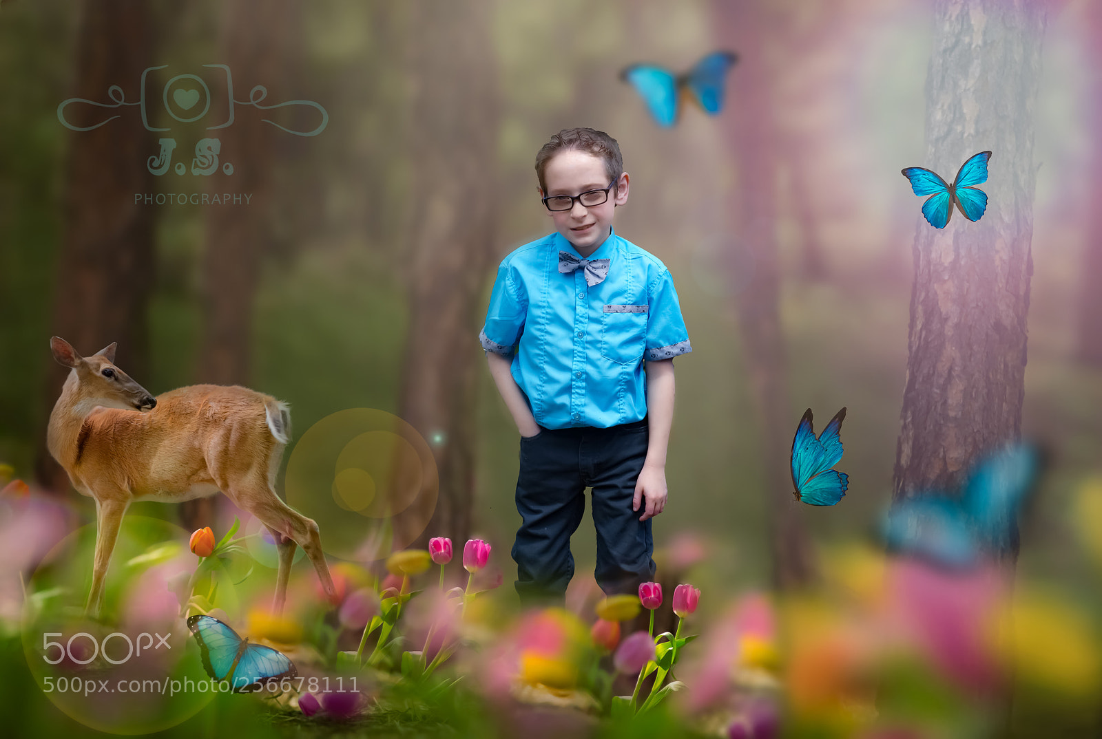 Canon EOS 5D Mark IV sample photo. Untitled photography