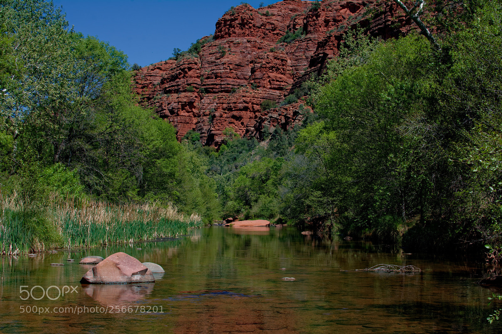 Nikon D7100 sample photo. Untitled photography