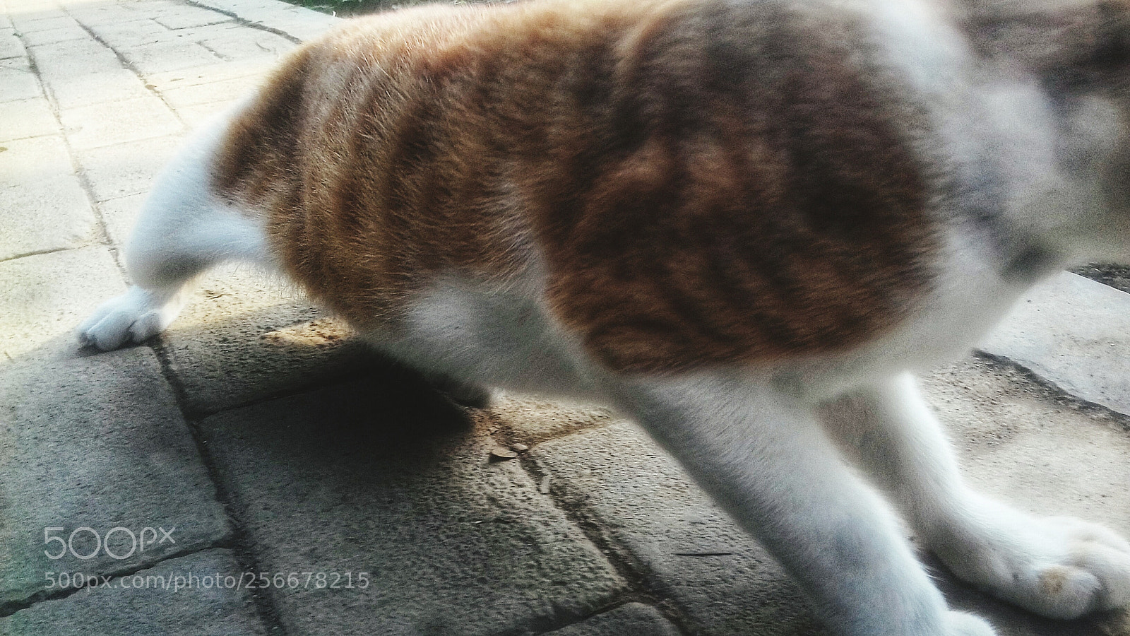Samsung Galaxy Grand Prime sample photo. Untitled photography