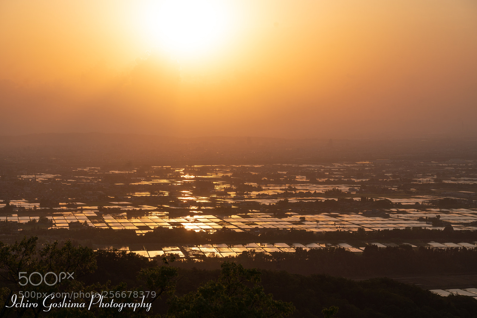 Sony a7R III sample photo. Toyama plain photography