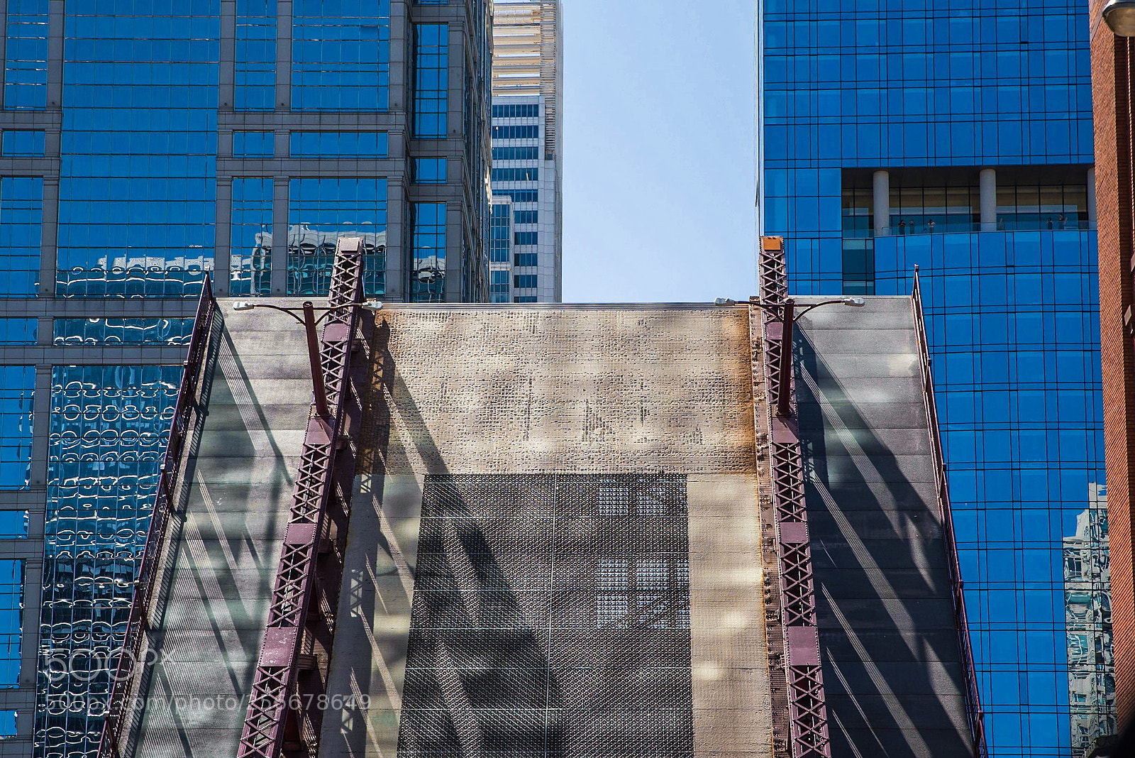 Nikon D750 sample photo. Up photography