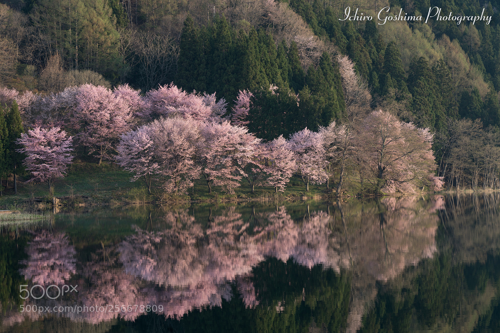 Sony a7R III sample photo. Nakatsuna lake photography