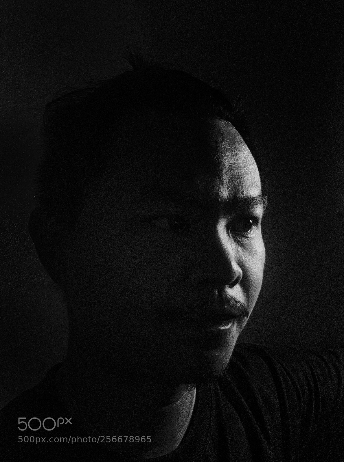 Apple iPhone 6 Plus sample photo. Half photography
