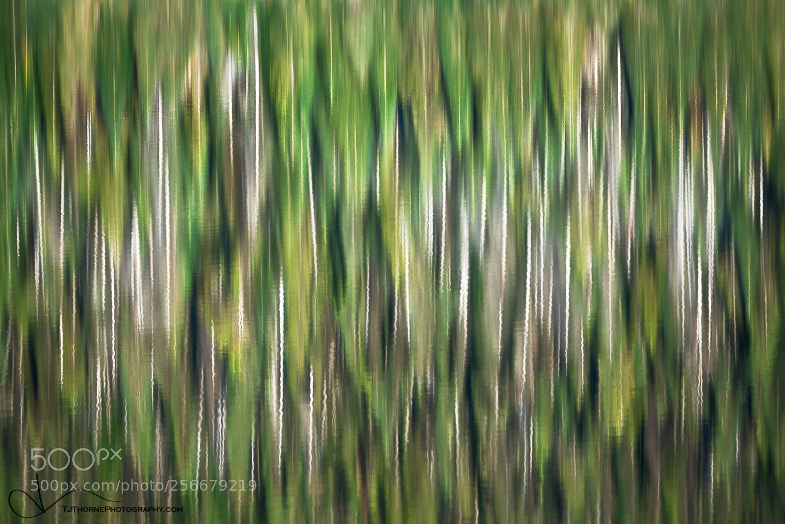 Nikon D610 sample photo. Liquid land photography