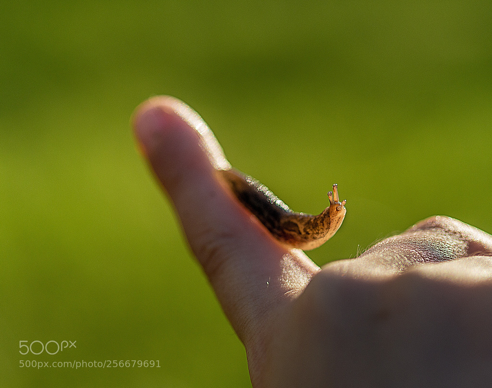 Nikon D600 sample photo. Smile photography