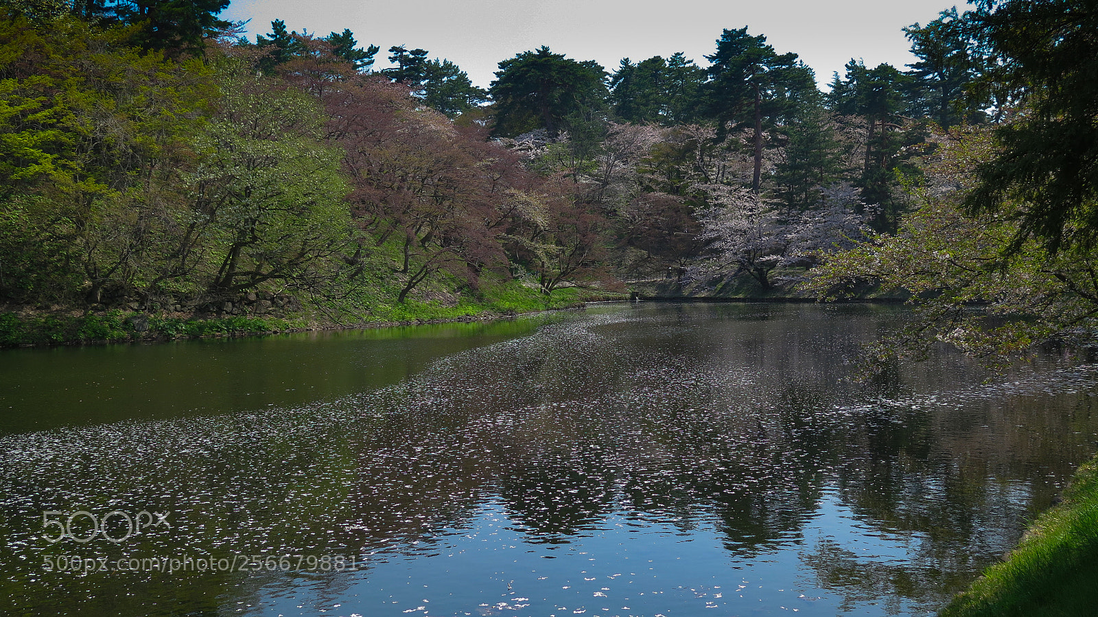 Canon PowerShot G16 sample photo. Hirosaki park pond photography