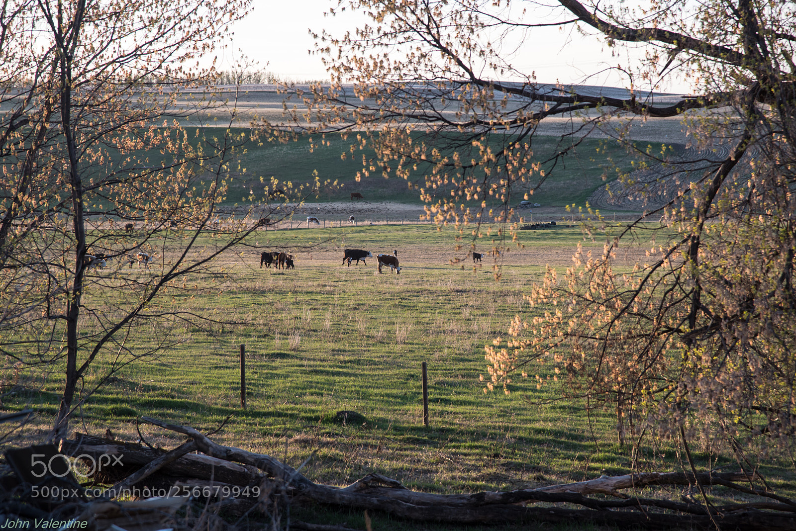 Nikon D750 sample photo. Sunset photography