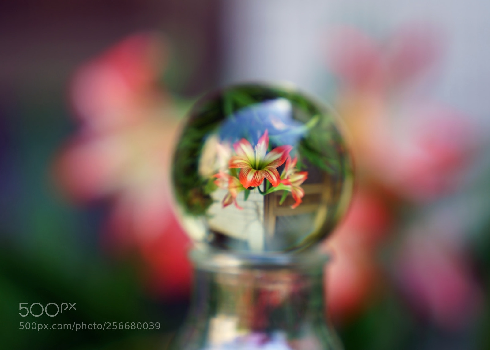 Sony a7R II sample photo. Untitled photography