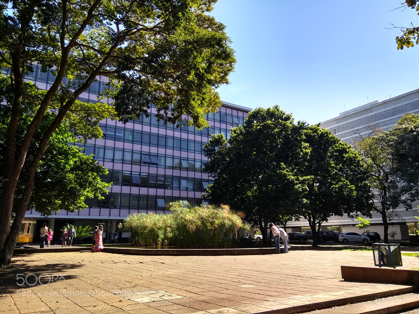 Motorola Moto G (5S) Plus sample photo. Untitled photography