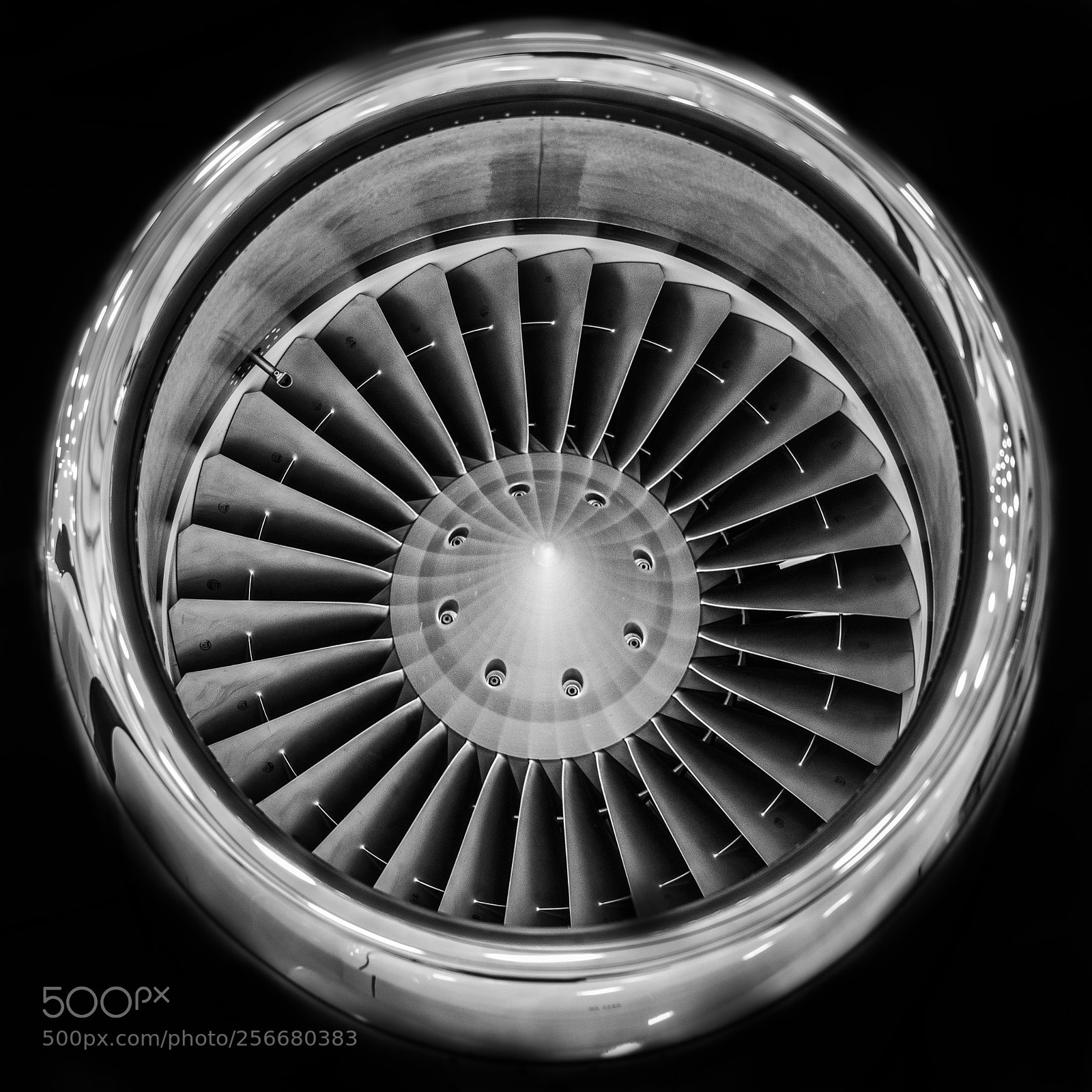 Nikon D800 sample photo. Spin cycle photography