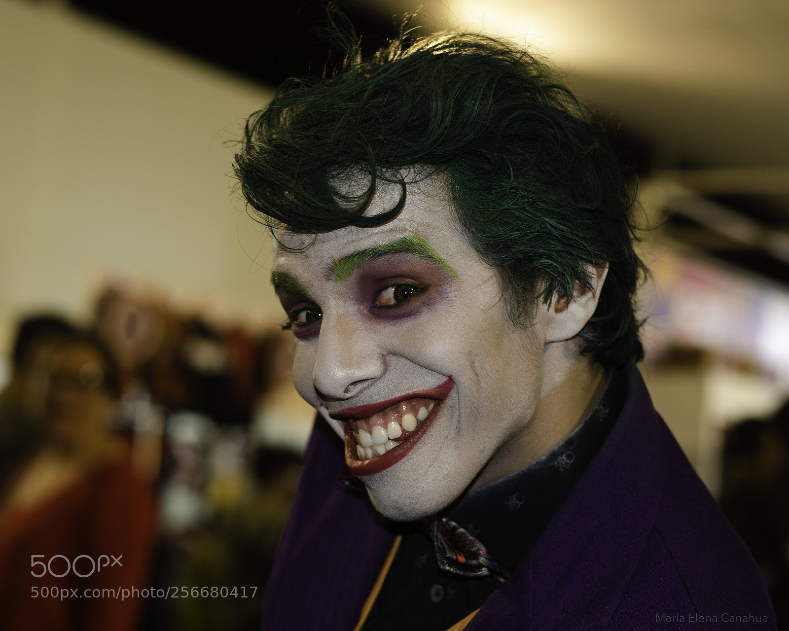 Nikon D5100 sample photo. Joker! photography
