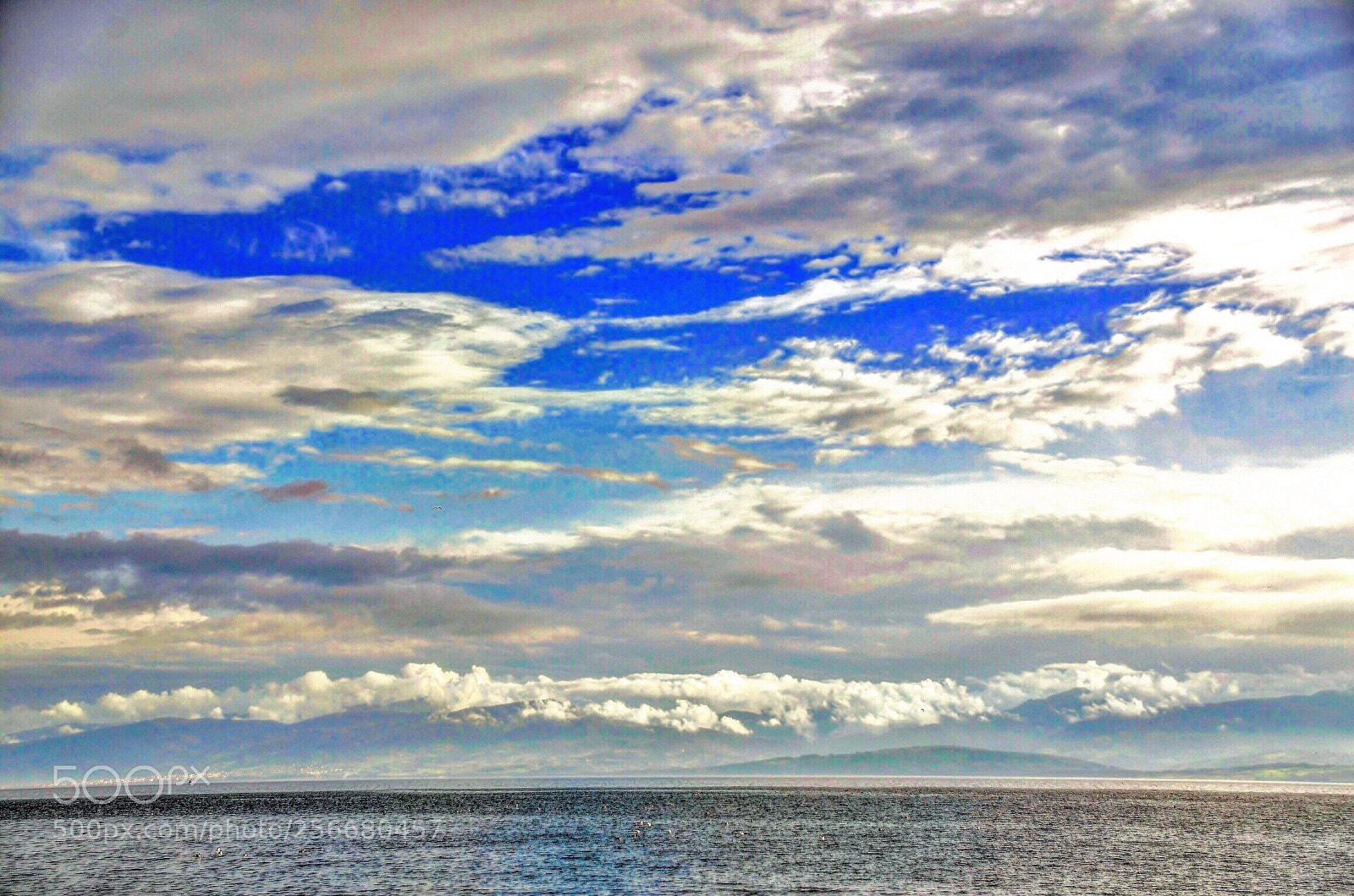 Nikon D7000 sample photo. Cause in the name photography
