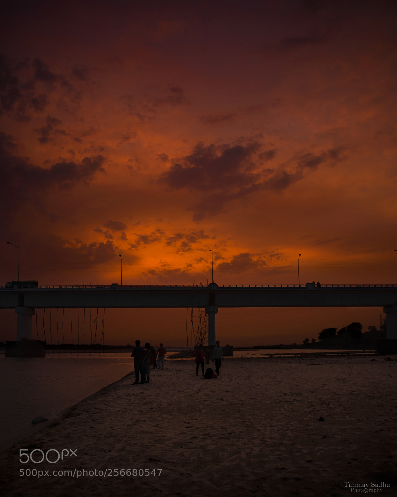 Nikon D7000 sample photo. Untitled photography