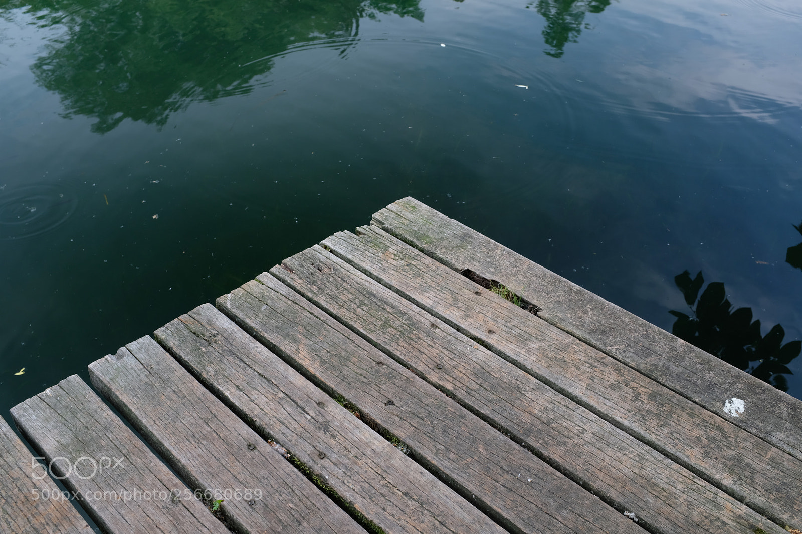 Fujifilm X100F sample photo. Untitled photography