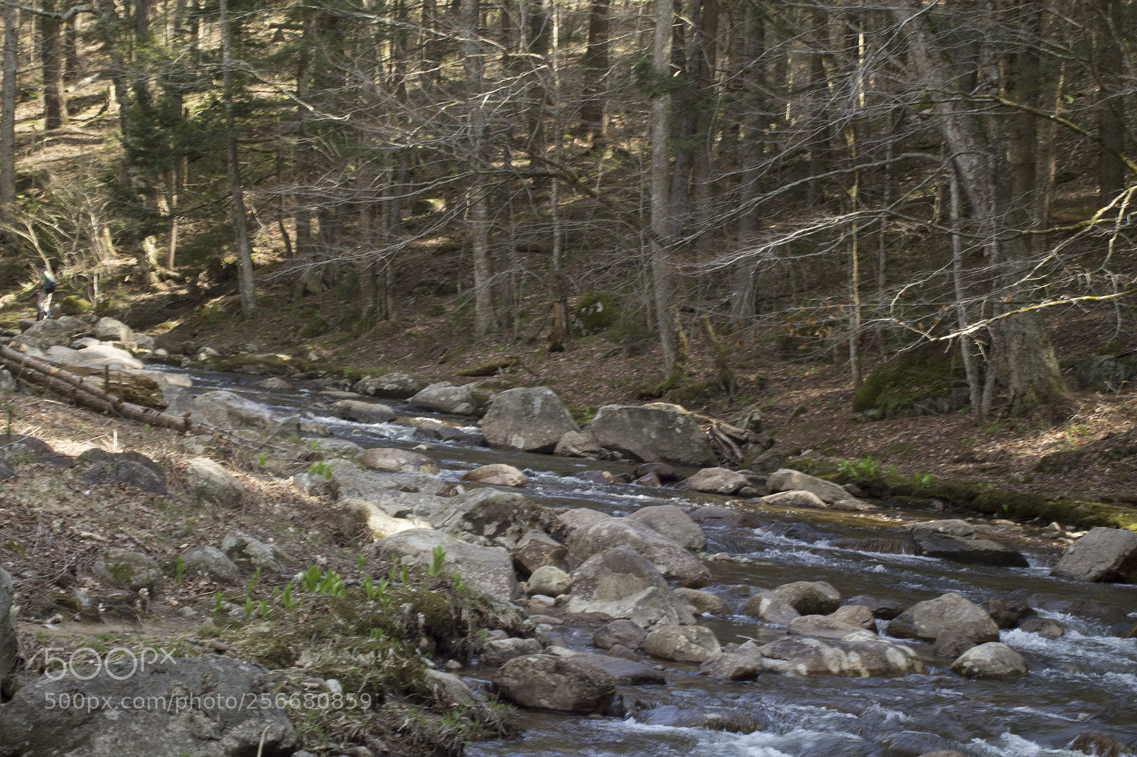 Canon EOS 1100D (EOS Rebel T3 / EOS Kiss X50) sample photo. Hope falls x photography