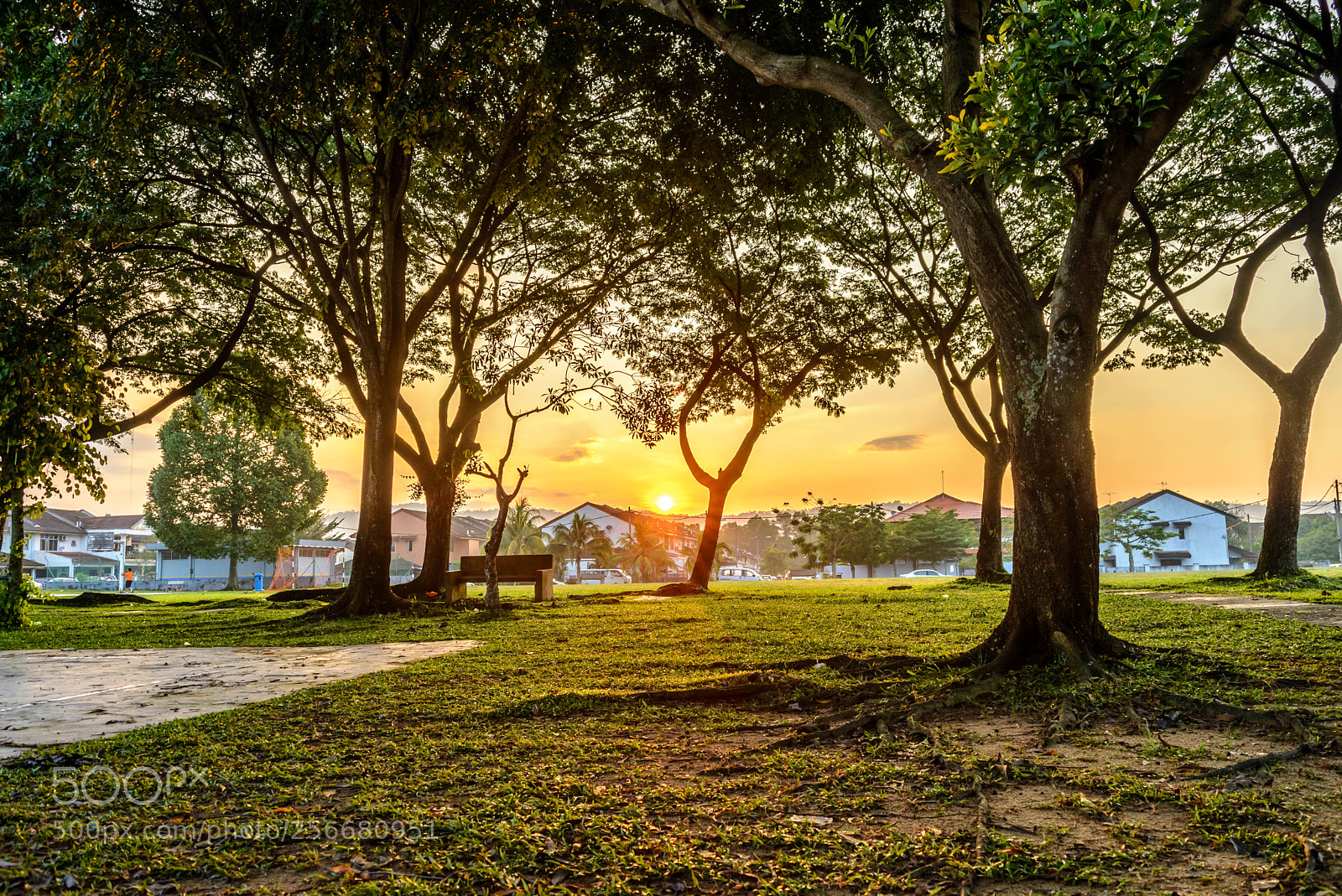 Nikon D610 sample photo. Sunrise by the park photography
