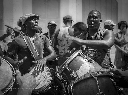 Canon EOS 7D sample photo. Untitled photography