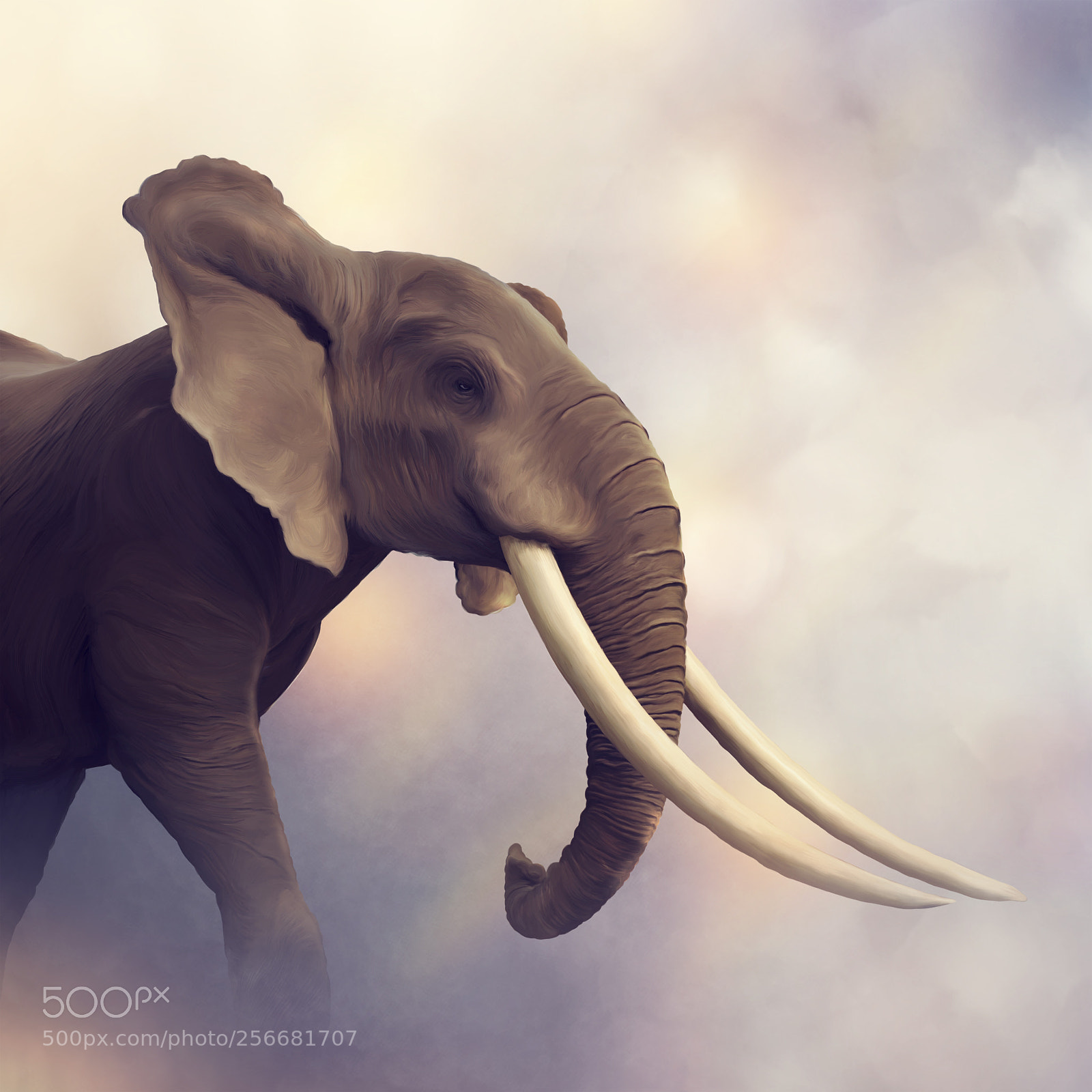 Nikon D90 sample photo. African elephant portrait photography