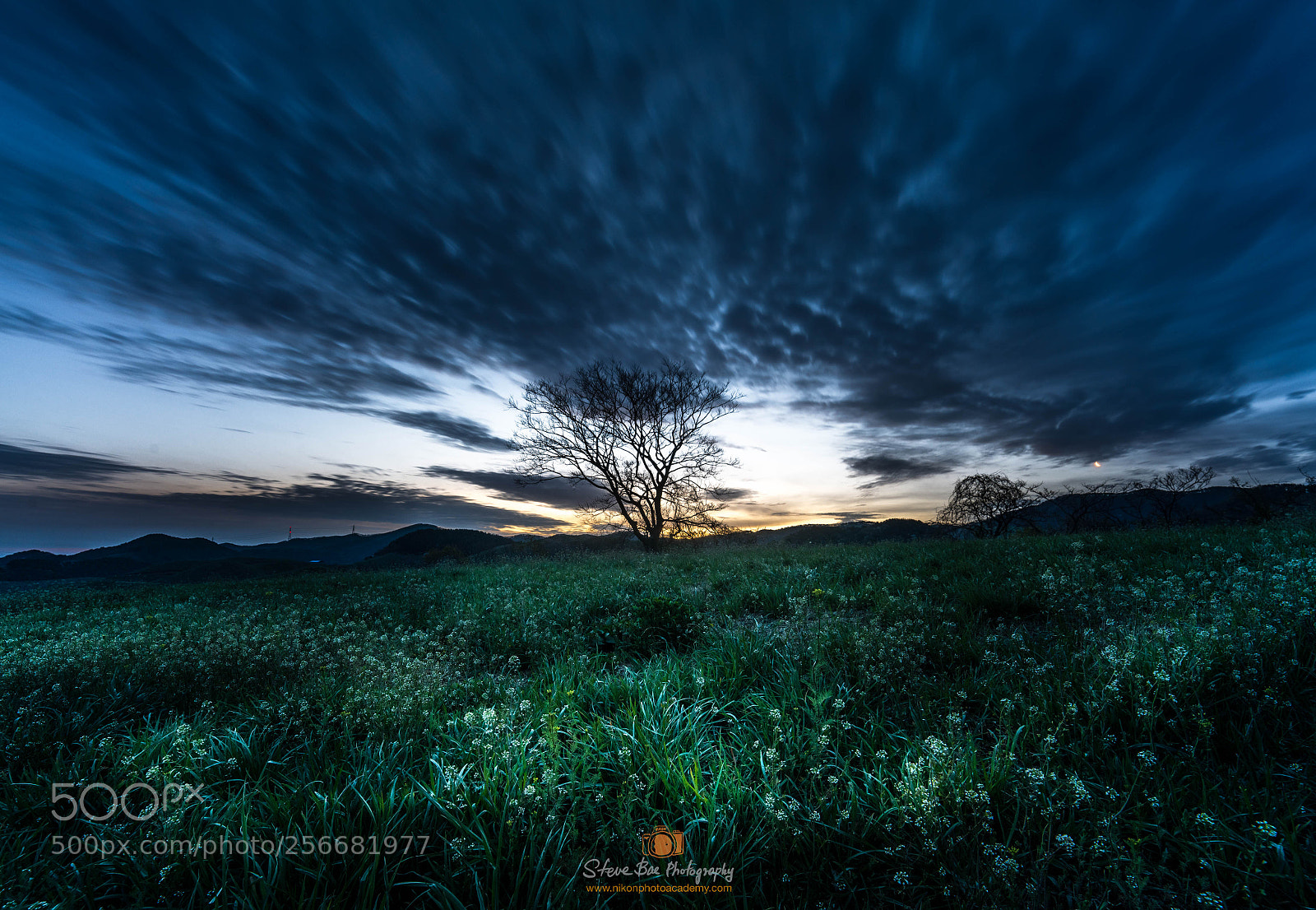 Nikon D850 sample photo. Moon rising in dawn photography