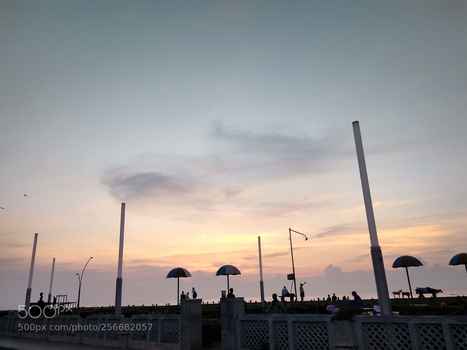 Motorola Moto G (5S) Plus sample photo. Untitled photography