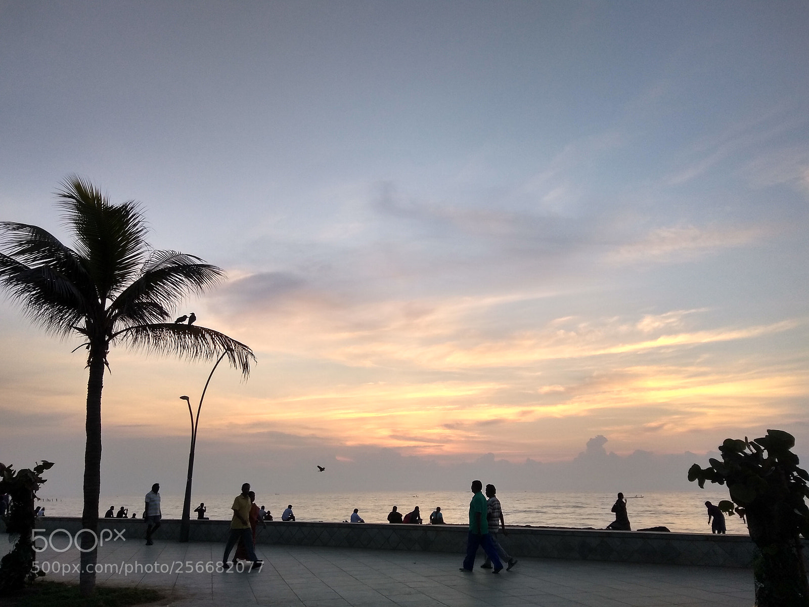 Motorola Moto G (5S) Plus sample photo. Untitled photography