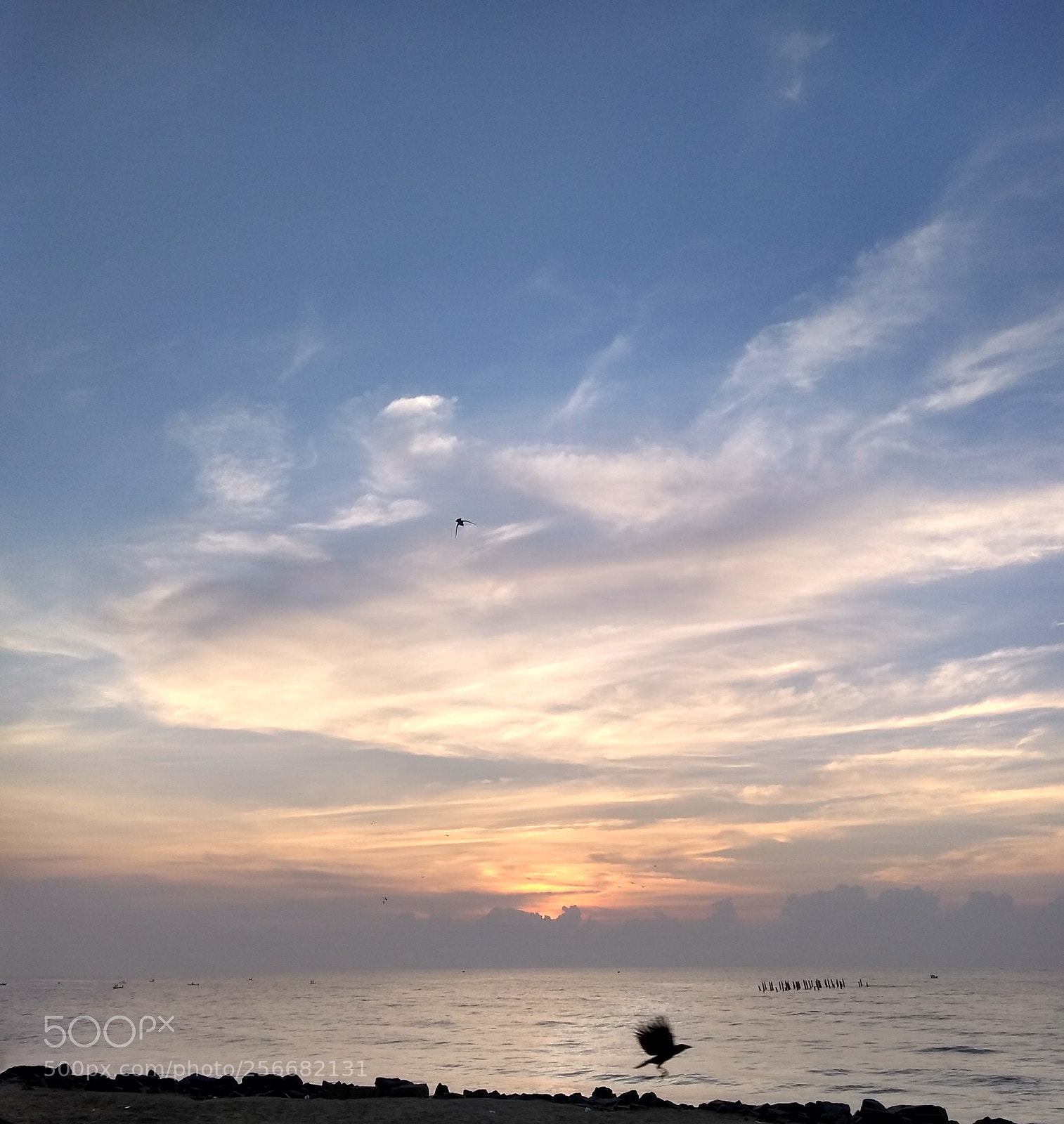Motorola Moto G (5S) Plus sample photo. Untitled photography