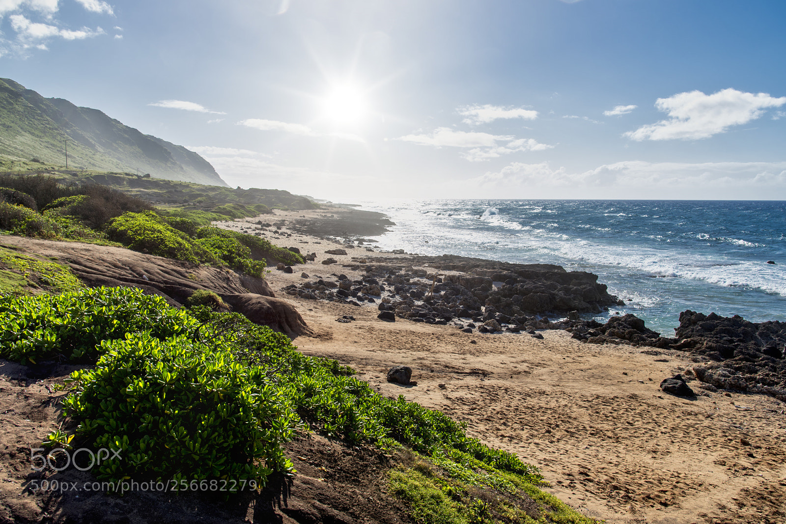 Nikon D750 sample photo. Kaena point photography
