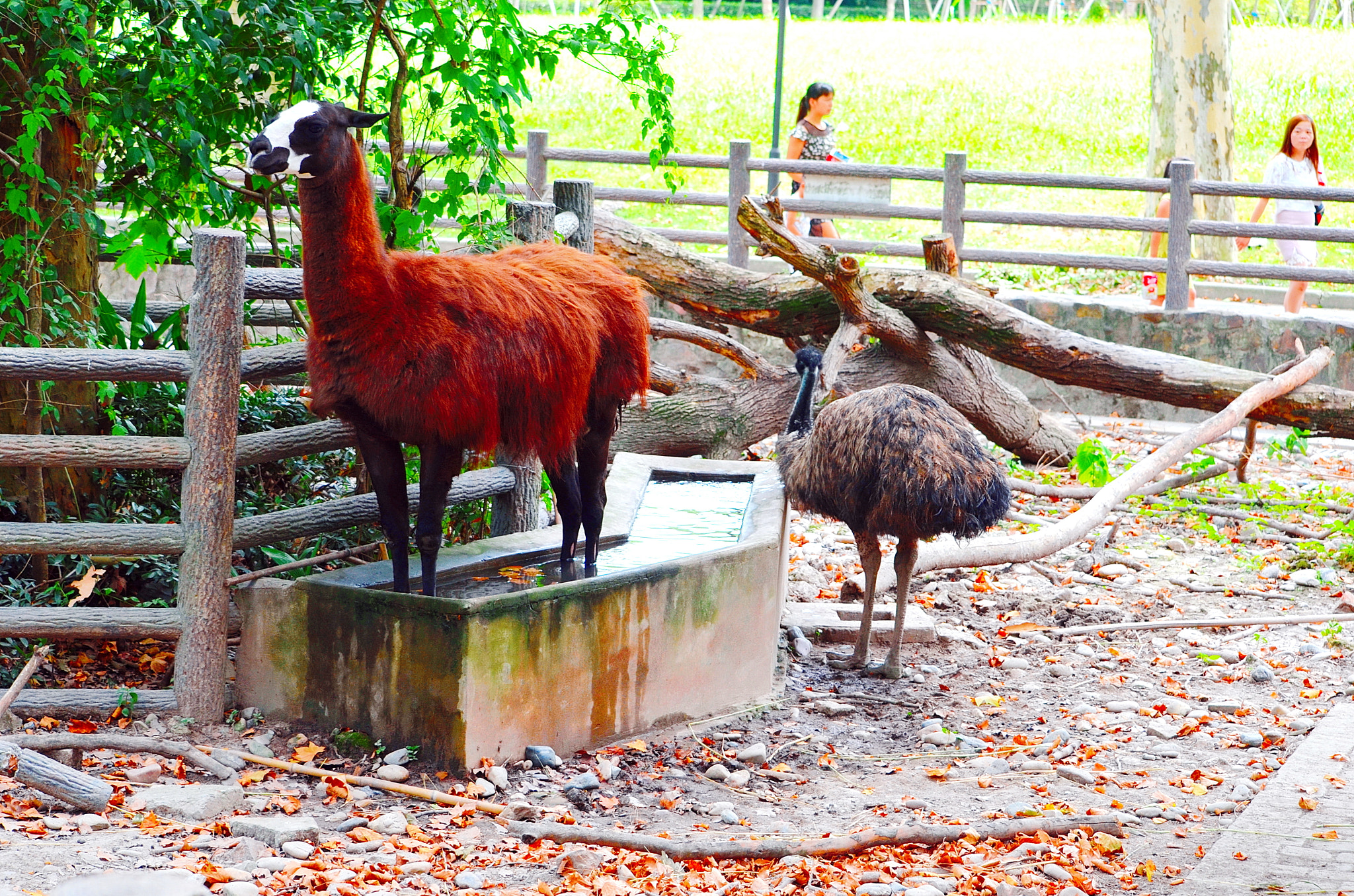Nikon D5100 sample photo. () photography