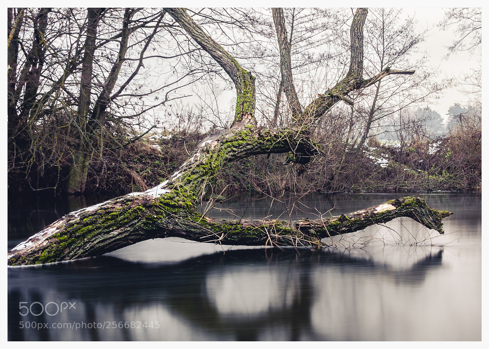 Nikon D5100 sample photo. Shape photography