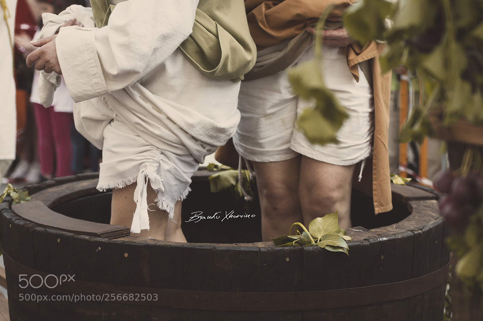 Nikon D300S sample photo. Vendemmia federicus 2018 photography