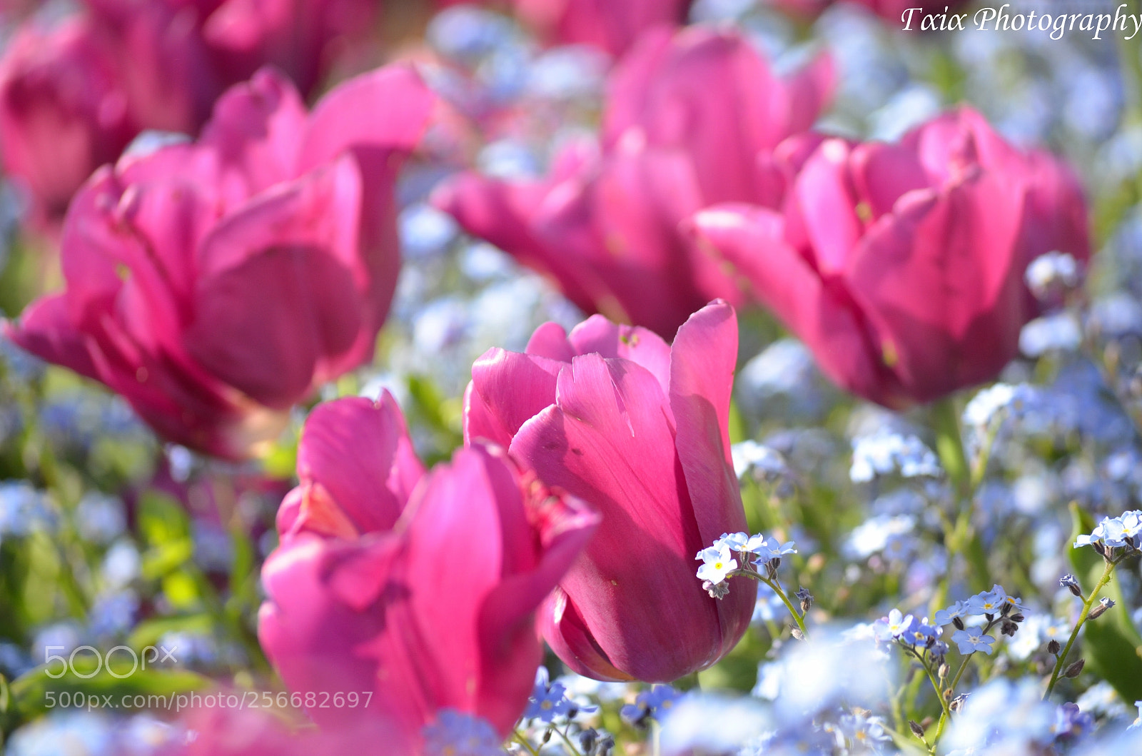 Nikon D5100 sample photo. Untitled photography