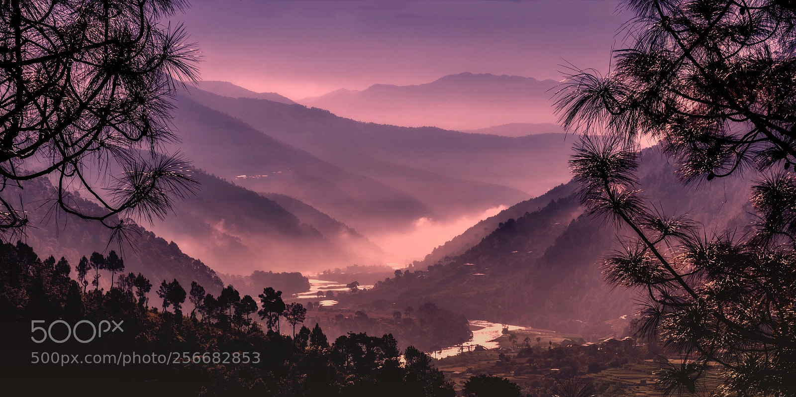 Nikon D5200 sample photo. Misty valley photography